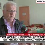 image-5224 To χθεσινό (26/12) ρεπορτάζ της τηλεόρασης του FLASH για τον Κρόκο Κοζάνης (Βίντεο)