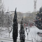 image-8035 Ώρα 11:00: Κατάλευκη η κεντρική Πλατεία Πτολεμαΐδας, με -10° & πυκνή χιονόπτωση (Φωτογραφίες)