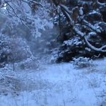 image-7557 Θερμές αέριες μάζες βγαίνουν από το σπήλαιο της Κάκαινας στην Ελάτη Κοζάνης (Bίντεο)