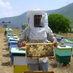 image-16312 Ο μηχανικός Γιάννης Καλαμπούκας βάζει την Σιάτιστα στον μελισσοκομική χάρτη – Επενδύει σε τυποποιητήριο για να αρχίσει εξαγωγές μελιού (της Άννης Καρολίδου – voria.gr)