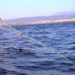 image-251287 Αθλητικός Σύλλογος Ερασιτεχνών Αλιέων Κοζάνης: Στους ψαράδες λέμε ναι!