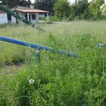 image-39665 Επιστολή αναγνώστριας στο kozan.gr: «Ζούγκλα» η παιδική χαρά Πρωτοχωρίου (Φωτογραφίες)