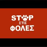 image-36096 Συγκέντρωση διαμαρτυρίας για τις φόλες, στην Πτολεμαίδα, το Σάββατο 13 Μαΐου