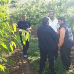 image-41873 Στάθης Κωνσταντινίδης: Σήμα SOS εκπέμπουν οι πληγείσες περιοχές