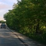 image-40892 Eπιστολή αναγνώστη στο kozan.gr: Εορδαία: Μείωση πλάτους, σε ήδη, στενό δρόμο και περιορισμός ορατότητας (Φωτογραφίες)
