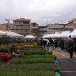 image-41728 Δήλωση του Αντιδημάρχου Ποιότητας Ζωής, Γεώργιου Χαϊτίδη, για την ανθοκομική έκθεση Πτολεμαΐδας