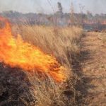 image-52801 Δήμος Κοζάνης: Μέτρα πρόληψης πυρκαγιών