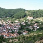image-172359 Εορδαία: Τα «Λιβάδια» της Βλάστης Δημόσια Δασική Έκταση – Αντιδράσεις