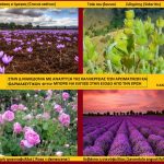 image-49223 Aνάπτυξη στην Δ. Μακεδονία – Μπορεί να επέλθει με τη δημιουργία θερμοκηπίων ή με την καλλιέργεια αρωματικών φυτών; Mπορεί να γίνει η «Ανδαλουσία» της Ελλάδος (του Σταύρου Π. Καπλάνογλου Γεωπόνου)