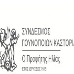 image-201058 Καστοριά: Eορτασμός του προστάτη των Γουνοποιών, Προφήτη Ηλία, 19 και 20 Ιουλίου
