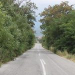 image-50932 Στένωση του δρόμου Τρανοβάλτου-Μικροβάλτου από ανάπτυξη χόρτων και κλαδιών (Φωτογραφίες)