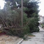 image-50715 kozan.gr: Πτολεμαίδα: Όσα άφησε πίσω της η χθεσινή έντονη βροχόπτωση (Φωτογραφίες)
