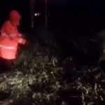 image-50682 kozan.gr: Πτολεμαΐδα: Πτώσεις δέντρων στην περιοχή των νεκροταφείων και στο πάρκο Ι. Χρηστίδη (Bίντεο)