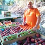 image-50492 Σύγχρονος Αγρότης: Εργαλεία επιτυχίας η γνώση και το συνεταιρίζεσθαι. Αντώνης Ζίγκος αντιπρόεδρος του ΑΣΕΠΟΠ Βελβεντού