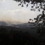 image-54157 Πρέσπα: Συνεχίζει να μαίνεται το μέτωπο της φωτιάς σε δασική περιοχή του Βροντερού
