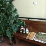 image-52923 Kατείχε μπισκότα κάνναβης και βούτυρο κάνναβης – Συνελήφθη, 52χρονος, από αστυνομικούς του Τμήματος Ασφάλειας Κοζάνης, σε περιοχή των Ιωαννίνων(Φωτογραφίες)