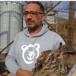 image-69689 Διάσωση εγκλωβισμένου μπούφου σε εγκαταστάσεις της ΔΕΗ λίγο πιο έξω από το Μικρόκαστρο Βοΐου (Βίντεο)