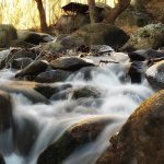 image-73712 Ο δράκος και η νεράιδα (Γράφει η Δήμητρα Ν. Παπανικολάου)