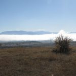 image-71831 kozan.gr: Κοζάνη – Σέρβια – Βελβεντό: Το εντυπωσιακό λευκό “πέπλο” που έχει σκεπάσει, σήμερα Πέμπτη 9/11, την παραλίμνια ζώνη (Βίντεο & Φωτογραφίες)
