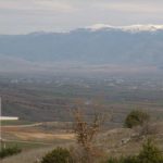 image-78580 Πτολεμαΐδα: ΣΤΟΠ στην Αρκούδα της Αναρράχης!