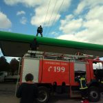 image-77350 kozan.gr: Μαυροδένδρι Κοζάνης: 65χρονος έκανε εργασίες και τον χτύπησε το ηλεκτρικό ρεύμα (Φωτογραφίες)