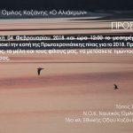 image-87160 Eκδήλωση για την κοπή της Βασιλόπιτας στον χώρο του Ναυτικού Ομίλου, στη λίμνη Πολυφύτου, στη Νεράιδα