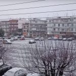 image-81452 kozan.gr: Βίντεο από τη «λευκή» λαϊκή αγορά της Πτολεμαΐδας