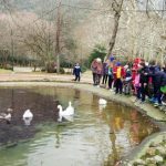 image-88516 Νέες διακρίσεις των «Δελφινιών» Πτολεμαΐδας με 38 μετάλλια στους 6ους αγώνες της Νάουσας