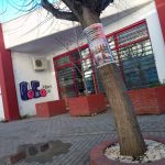 image-87931 Eπιστολή αναγνώστη στο kozan.gr: Πτολεμαίδα: “Πολιτισμός στα λιγοστά δέντρα” (Φωτογραφίες)