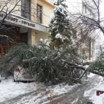 image-95440 kozan.gr: Πτολεμαΐδα: Πτώση δέντρου, πάνω σε ένα αυτοκίνητο, μπροστά από το Εργατικό Κέντρο Πτολεμαΐδας (Φωτογραφίες & Βίντεο)