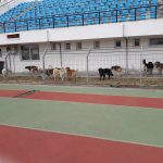 image-93557 Σχόλιο αναγνώστη στο kozan.gr: Πτολεμαΐδα: Τι θα γίνει με αυτή την κατάσταση; (Φωτογραφίες)