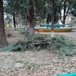 image-91433 Επιστολή αναγνώστη kozan.gr: Ζούνε άνθρωποι στο Ανατολικό Εορδαίας; (Φωτογραφίες)