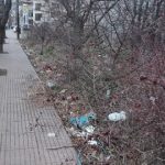 image-90927 Σχόλιο – απορία αναγνώστη στο kozan.gr: «Θα γίνει καθαρισμός της εισόδου της πόλης (οδός Λαρίσης ) ή καλά είμαστε κι έτσι;»