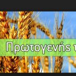 image-103289 TEI Δ. Μακεδονίας: Σεμινάρια βραχείας εκπαίδευσης (στον πρωτογενή τομέα) του προγράμματος «Τριπτόλεμος» στη Φλώρινα