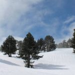 image-102308 Ανάβαση στον κορυφή του Σμόλικα και την Δρακόλιμνη με τον ΕΟΣ Κοζάνης, Κυριακή 1.4.2018