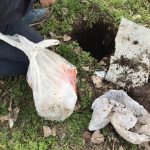 image-98743 Συνελήφθησαν -3- άτομα σε περιοχή της Πτολεμαΐδας για κατοχή και διακίνηση ναρκωτικών ουσιών – Κατασχέθηκαν -1- κιλό και -107- γραμμάρια κάνναβης, το χρηματικό ποσό των -1.375- ευρώ και -2- κινητά τηλέφωνα (Φωτογραφίες)
