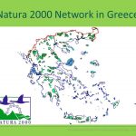 image-98543 Βραβεία Natura 2000: Πέντε Ελληνικές Υποψηφιότητες στον τελικό – Μία υποψηφιότητα και από Δυτική Μακεδονία