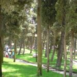 image-96643 Κοζάνη: Ενέργειες για την επαναλειτουργία της Στέγης Ανηλίκων