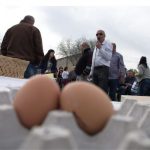 image-105008 Διαγωνισμός τσουγκρίσματος αυγών, πραγματοποιήθηκε, την Τρίτη 10 Απριλίου 2018, στη Νεράιδα του δήμου Σερβίων – Βελβεντού (Φωτογραφίες)