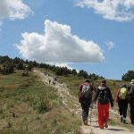 image-105019 Ο Ε.Ο.Σ. ΚΟΖΑΝΗΣ διοργανώνει την Κυριακή 15/4 εξόρμηση στα Πιέρια