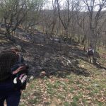 image-105002 Δασική πυρκαγιά στο χωριό Σκλήθρο – Άμεση επέμβαση από την Πυροσβεστική Υπηρεσία Πτολεμαΐδας (Φωτογραφίες)