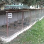 image-104867 Πρόσκληση Γενικής Συνέλευσης μελών του Κυνηγετικού Συλλόγου Εορδαίας