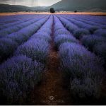 image-103573 Ο έλληνας φωτογράφος, Γιώργος Σουμελίδης, που κάνει τη χώρα να φαίνεται σαν σκηνικό από ταινία φαντασίας – Oι φωτογραφίες του από τη Δ. Μακεδονία