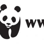 image-107721 WWF Ελλάς: Λανθασμένη η πώληση μονάδων της ΔΕΗ