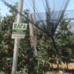 image-106769 Ημερίδα, στην Κοζάνη, για την επιδότηση αντιχαλαζικών διχτυών, από τον ΕΛΓΑ