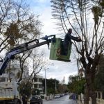 image-333772 Δήμος Γρεβενών: Έκκληση για αποφυγή στάθμευσης οχημάτων σε σημείο της Οδού 13ης Οκτωβρίου τη Δευτέρα 8 Μαρτίου λόγω εργασιών κλαδέματος