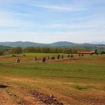 image-112144 11η Πανελλήνια Συγκέντρωση Φίλων Ελεύθερης Ιππασίας, στις 19-20 Μαΐου, στη Σιάτιστα
