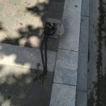 image-111870 Οι παγίδες στην πόλη (Πτολεμαΐδα) παραμένουν (του Ν. Κωτίδη)