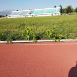 image-111445 kozan.gr: Εικόνα εγκατάλειψης στο γήπεδο ΔΑΚ Πτολεμαΐδας – Σημερινές (13/5/2018) φωτογραφίες αναγνώστη