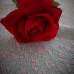 image-111376 Η πρώτη συνάντηση… (Γράφει η Δήμητρα Ν. Παπανικολάου)